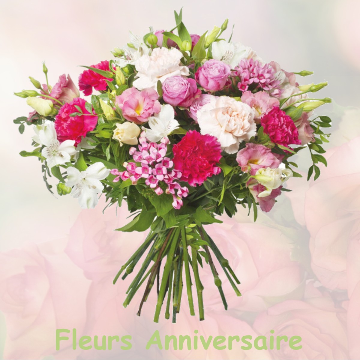 fleurs anniversaire VILLENEUVE-D-AVAL