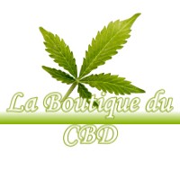 LA BOUTIQUE DU CBD VILLENEUVE-D-AVAL 